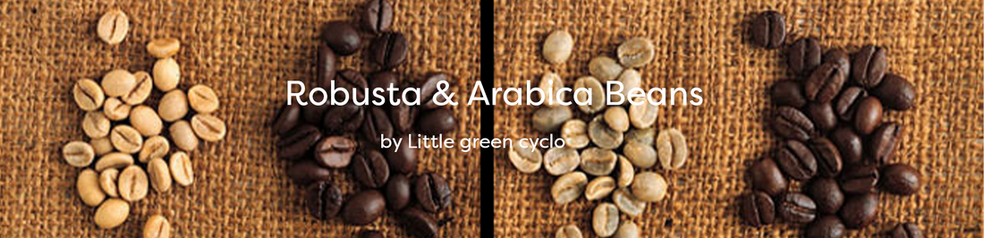 Robusta & Arabica Beans
