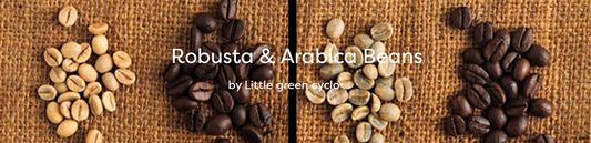 Robusta & Arabica Beans