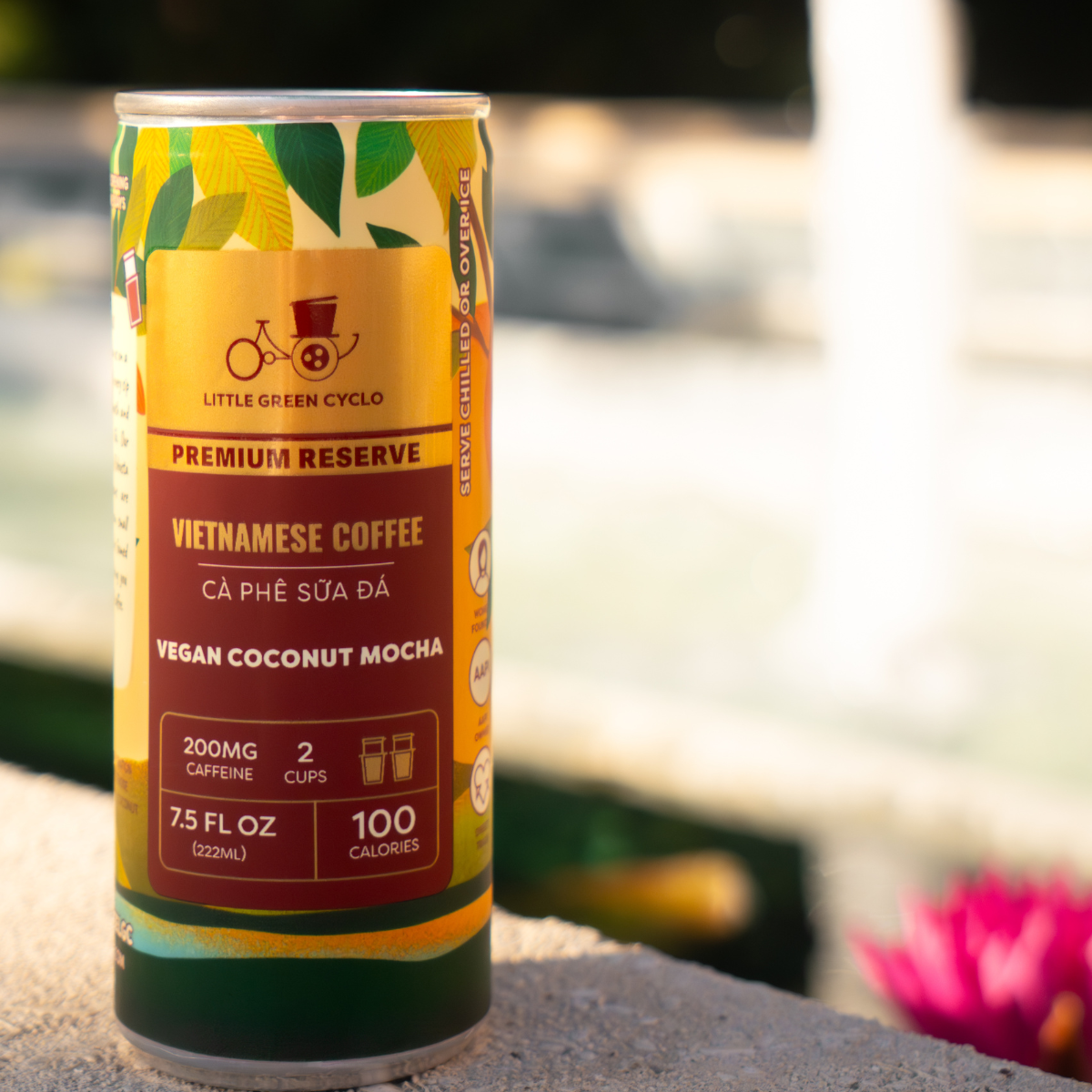 Mocha - Plant Based